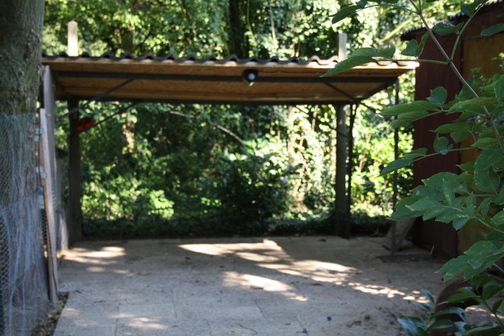 בורן Biedermeier מראה חיצוני תמונה